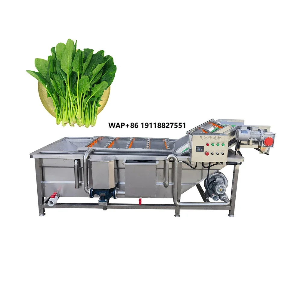Commercial Vegetable Washer Vegetable Washing Machine with Ozone Vegetable and Fruit Washer