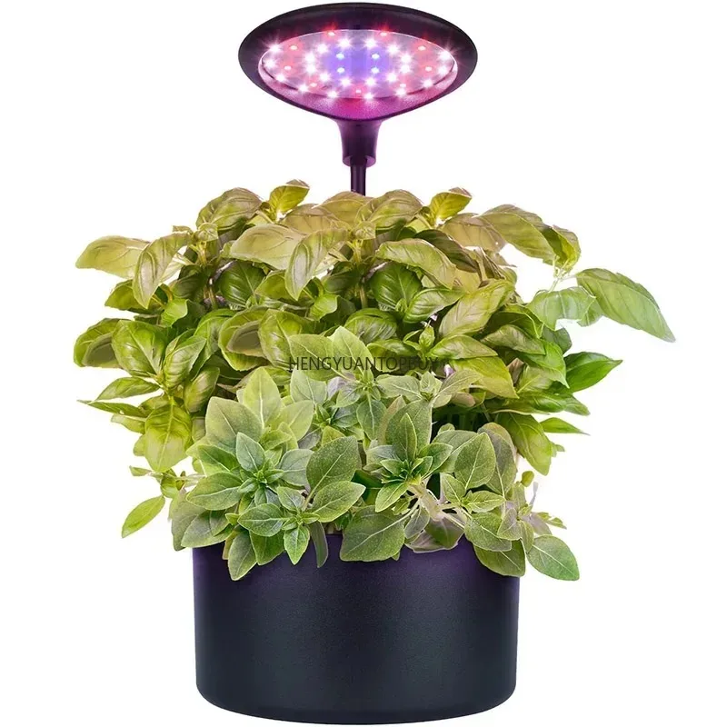 Indoor Hydroponic Growing System Self-Watering Garden Planter for Home - Factory Direct Self-Sustaining Plant Box