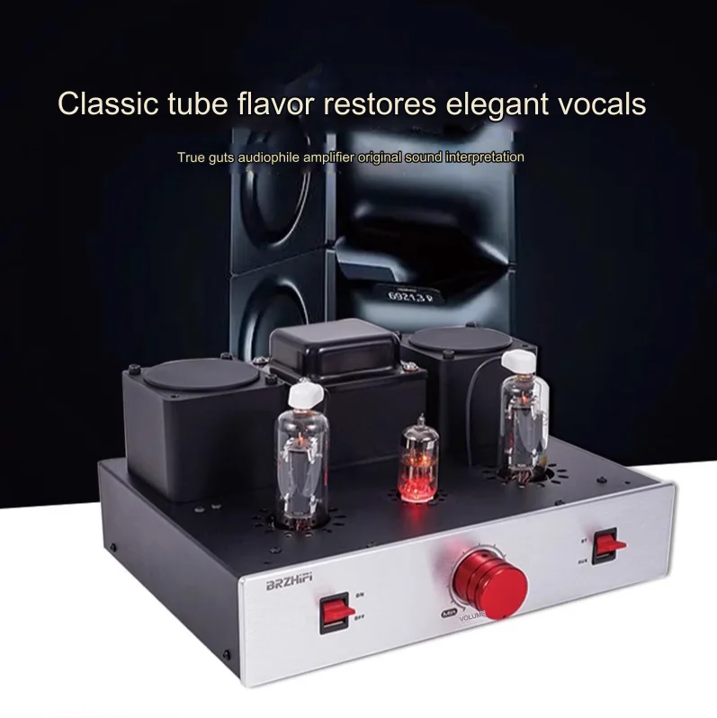 

Weiliang A21 tube amplifier hifi fever grade, front tube and back tube effect surpasses EL34, Bluetooth