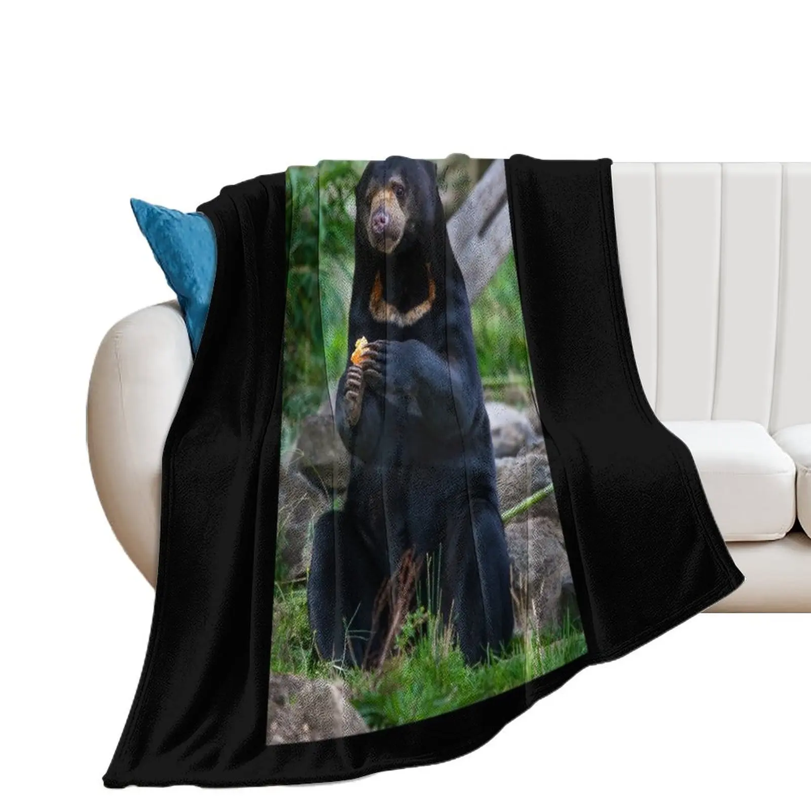 Malayan Sun Bear Contemplating Throw Blanket Soft Plush Plaid Flannels Blankets