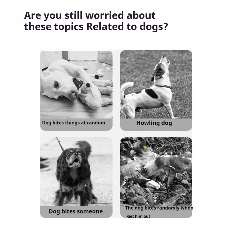 Thumbnail 2 - #12 Dog Muzzles Comparison Guide
