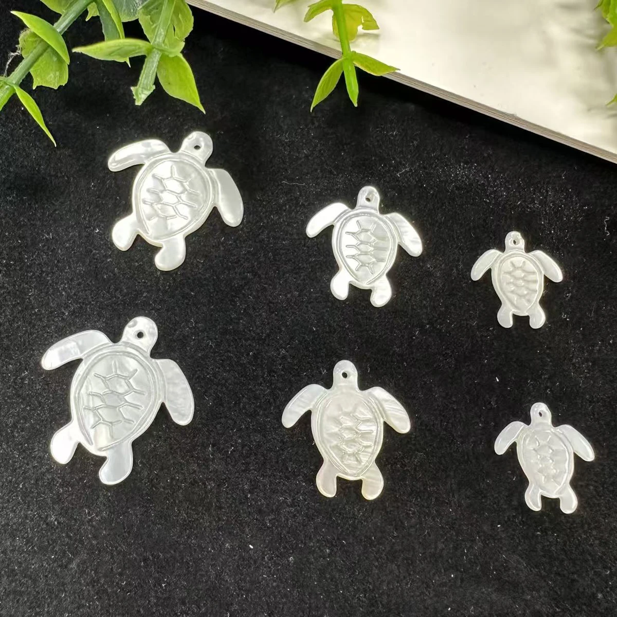 5Pcs DIY Loose Pendant The Mother Of Pearl Shell Tortoise Small Pendant For Jewelry Making DIY Earring Necklace Tassel Accessory