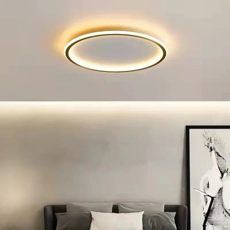 Modern LED Ceiling Light For Bedroom Living Room Study Room Study Minimalist Slim Black White Gold Home Decor Lighting Fixtures