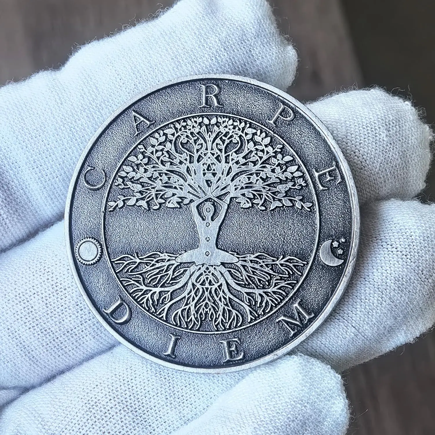 عملة Carpe Diem & Memento Mori Challenge - رمز سبائك الزنك مقاس 1.57 بوصة لليقظة الذهنية وانعكاس الحياة والدافع