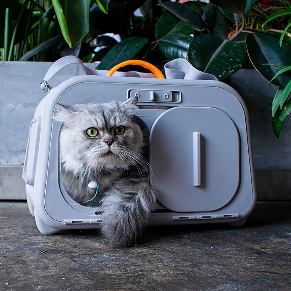 New Cat Bag Ventilation Cats Cage Portable Big Capacity Spacecraft Pets Small Dog Dogs Bag Knapsack Pet Supplies