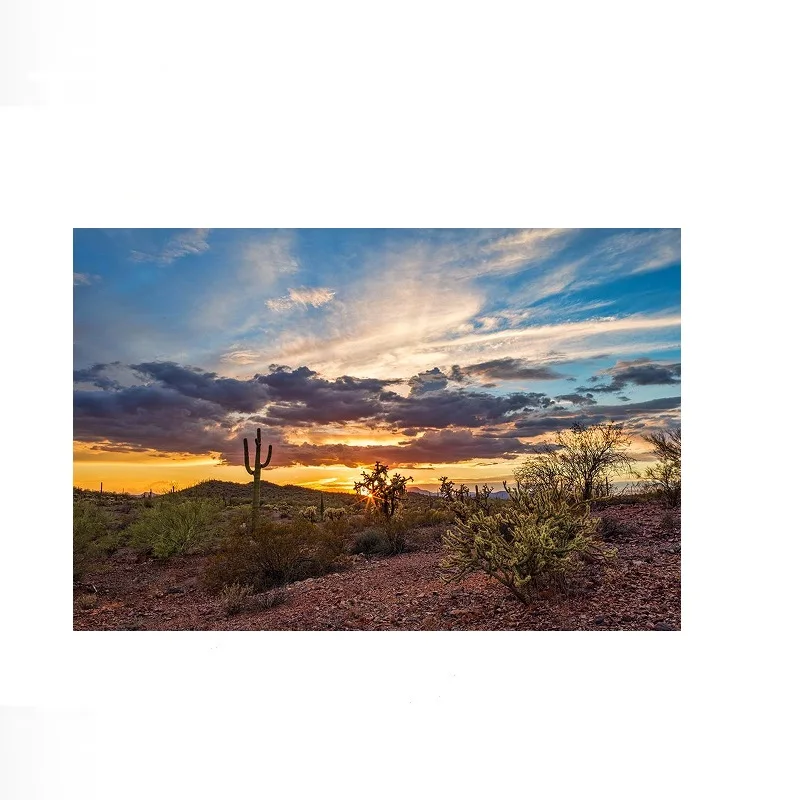 Colorful Sonoran Desert Sunset Saguaro Cactus Photo Photograph Beach Palm, Art Picture Print Canvas Poster Home Wall Decor