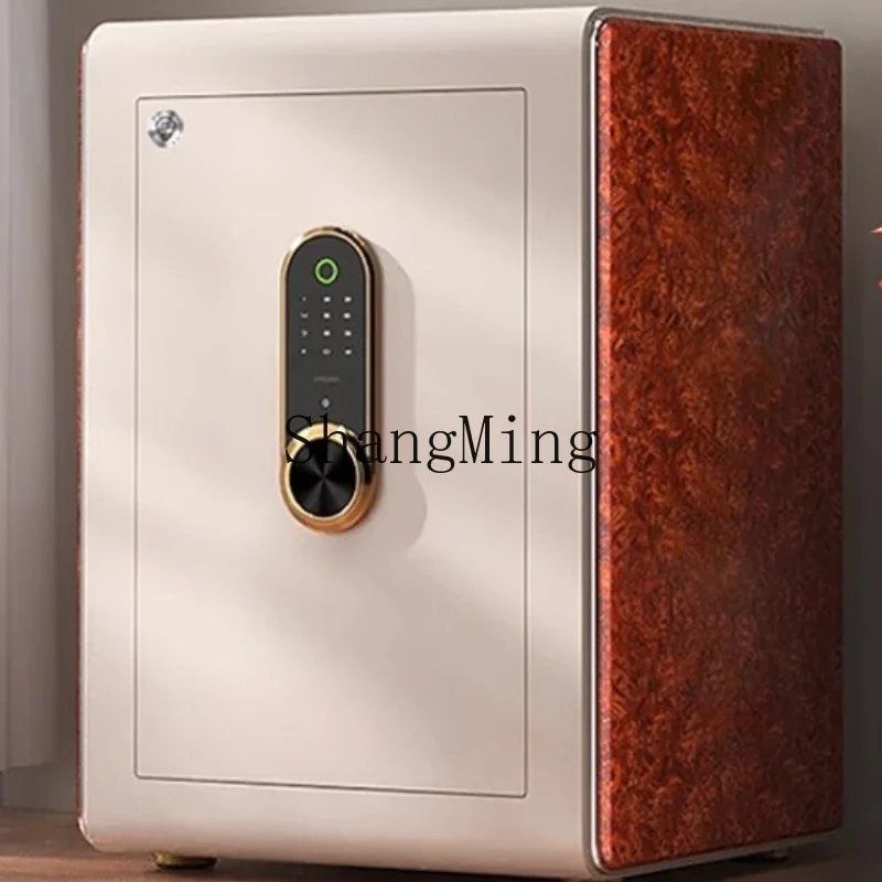 ZYY Home آمن ضد السرقة، بصمة الإصبع، كلمة المرور، التعرف على الوجه، آمن للمكتب المنزلي، كبير في الحائط