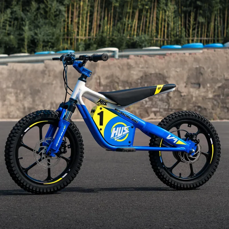 653W 33KM/H Electric Adventure Bike for Kids Youth Aluminum Frame Full Suspension Hydraulic Disc Brakes Off-Road All-Terrain