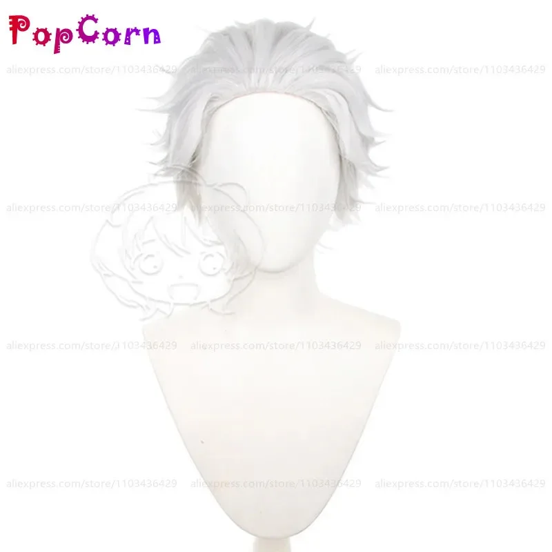 

2025 Hajime Umemiya Unisex 30cm Short Silver Gray Wig Anime Cosplay Heat Resistant Synthetic Wigs