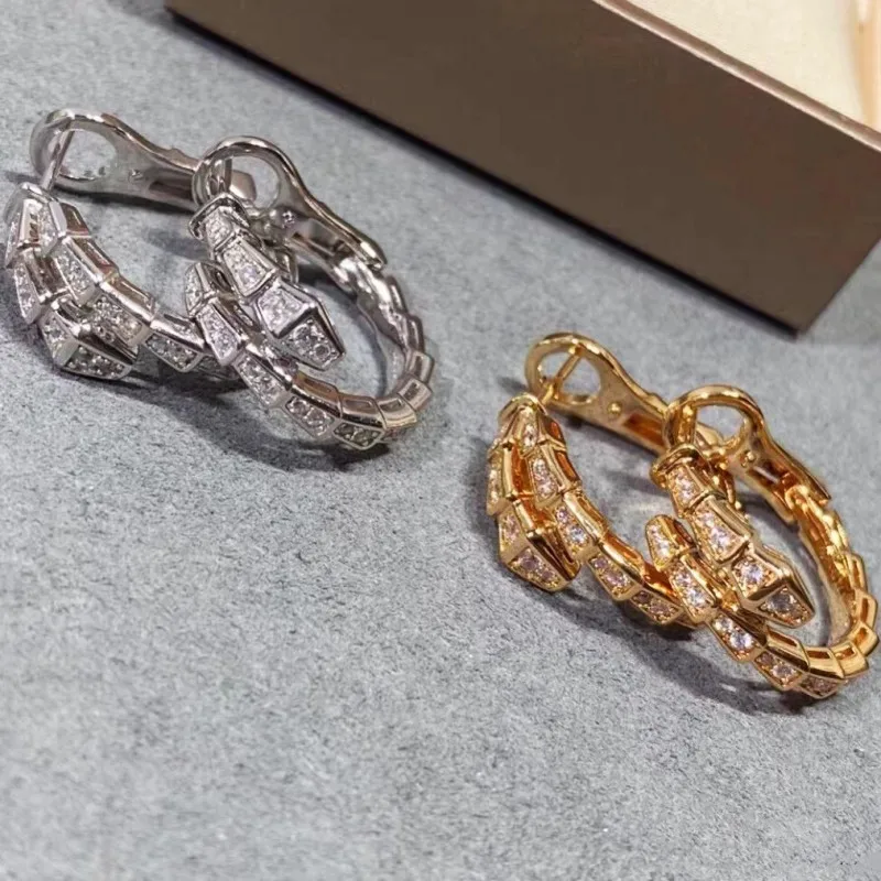 Pendientes de serpiente personalizados para mujer, aretes versátiles de moda, reina de lágrimas, Kim Jie, woon, aguja de plata, regalo de joyería