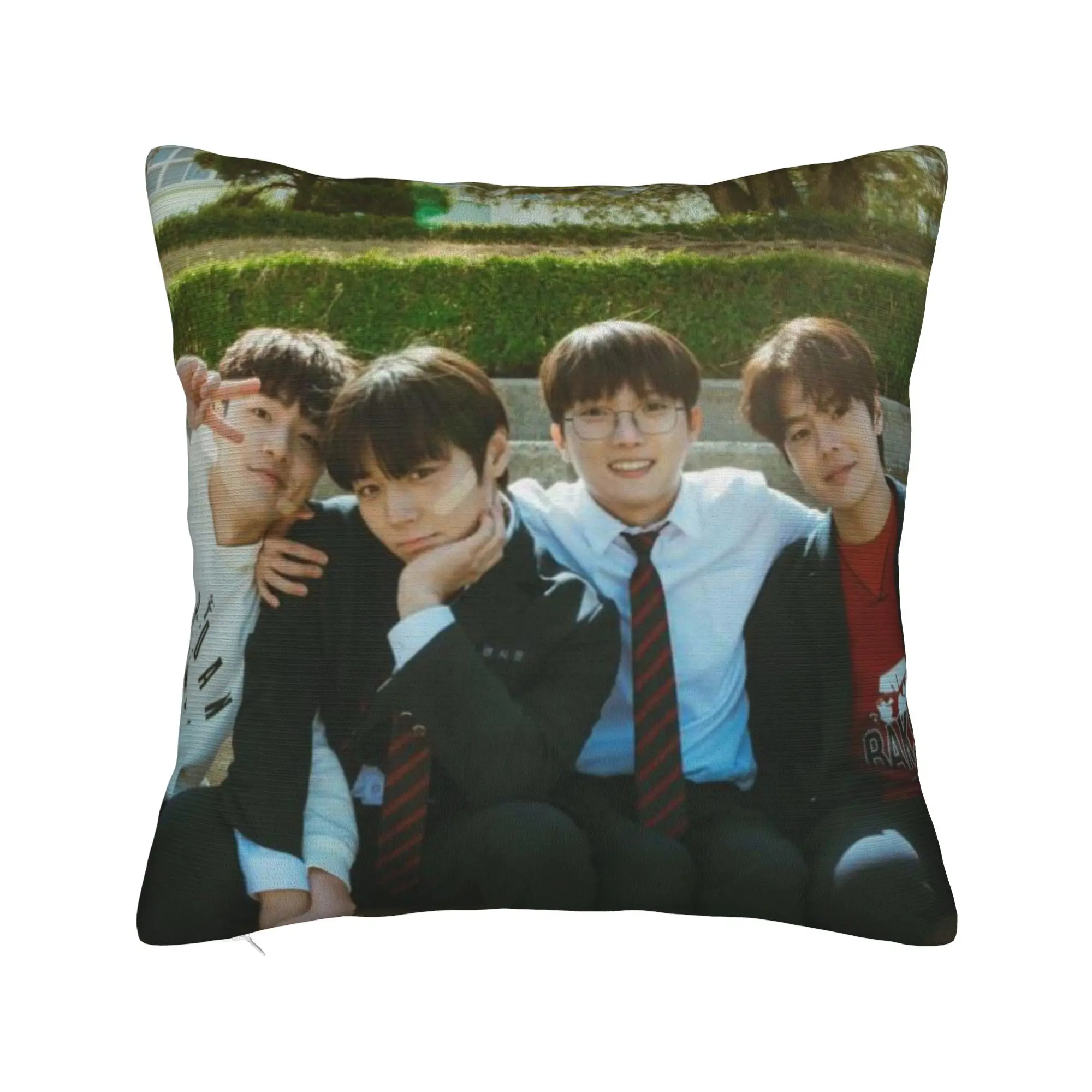 Hot Kdrama Weak Hero Class Pillow Case  Soft Pillow Cover For Chair Sofa Home Decor Funny Pillowcases