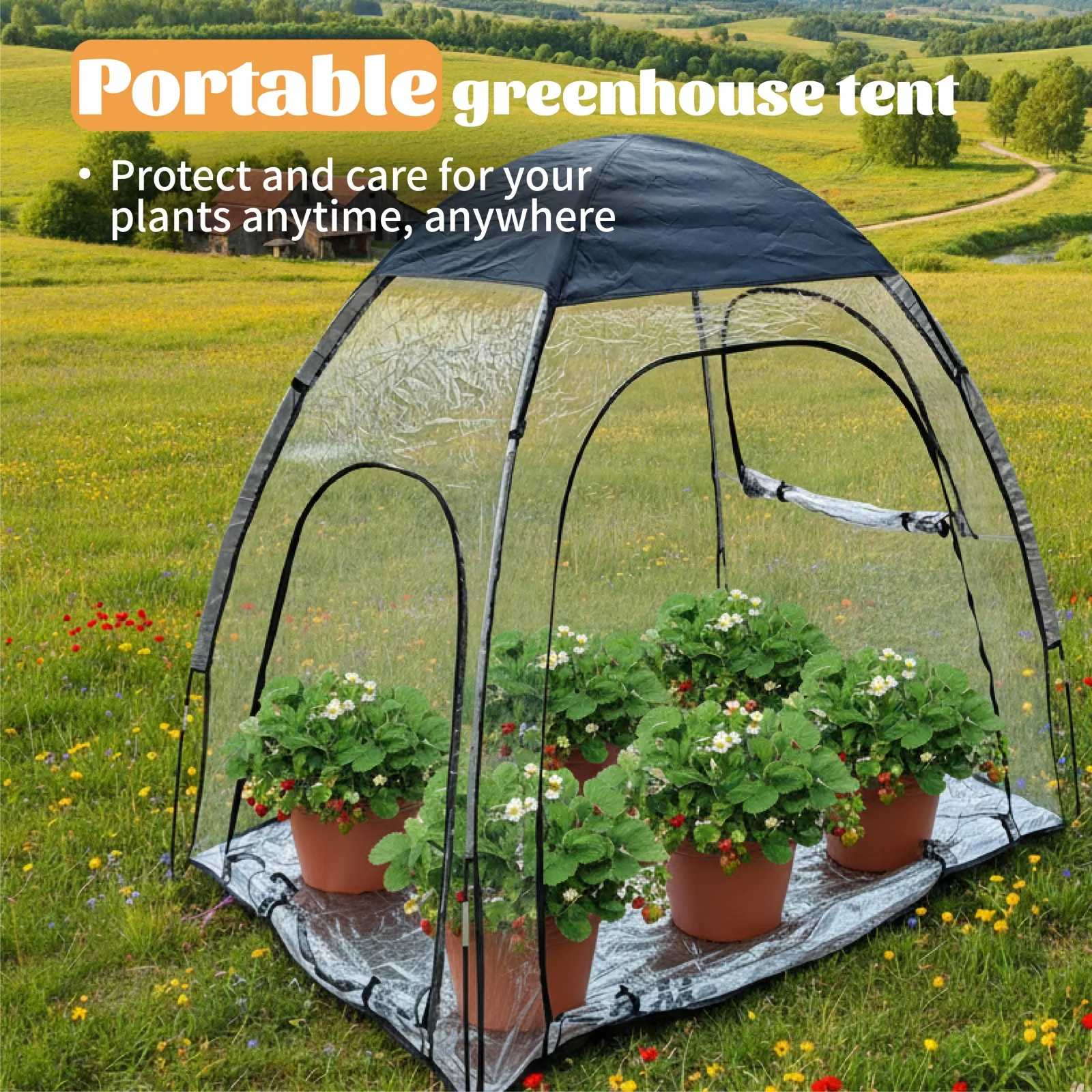 1 Pack Mini Greenhouse Tent, Transparent Plant Growing Shelter, Portable Foldable Tent for Balcony Use