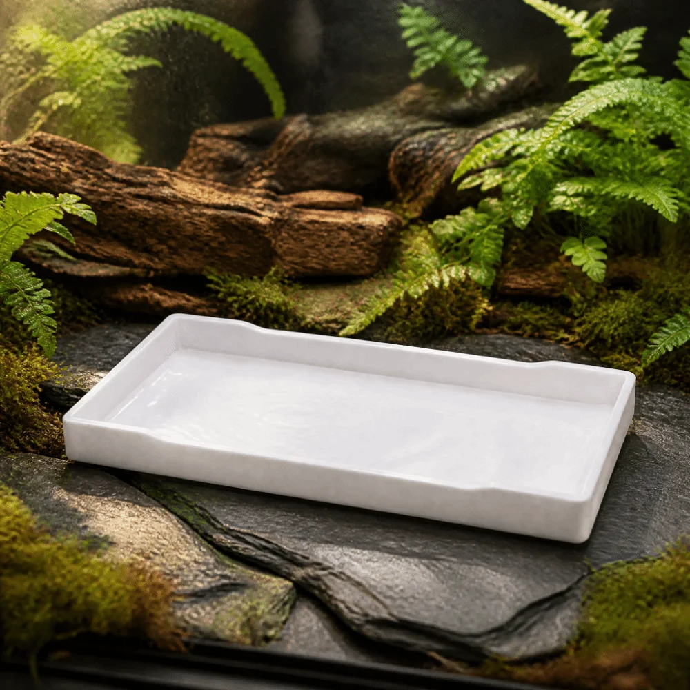 Plastic Pet Food Dish Square Shape Large Capacity Reptile Feeder Dish Anti-Slip Design Smooth Surface Plastic Feeder Dish