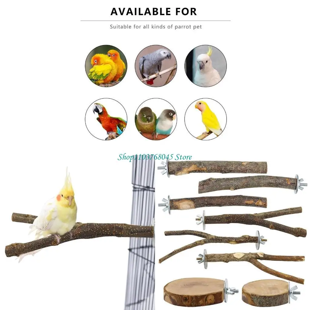 R53f 8pack الطيور الصغيرة تلعب معدات العثمانية عثمان أرجوحة حلقات الحيوانات الأليفة نشاط الطيور عصا للببغيت conure lovebird