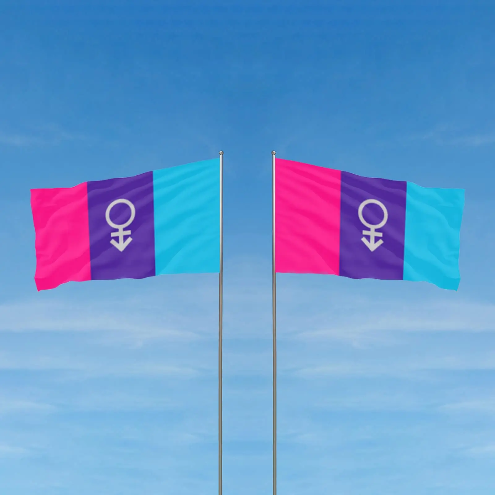 Flagnshow 100% Polyester Androgynous Girl Pride Flag