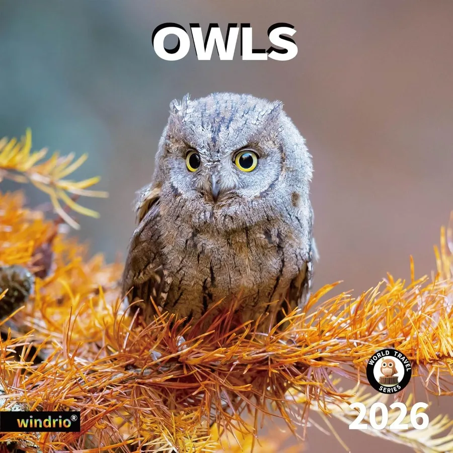 

Настенный календарь на 2026 Календарь на 2026 июля 2025 Грудень 2026 Настенный календарь Совы 12 x 24 дюйма Открытый в течение всего месяцев Толстая и прочная упаковка