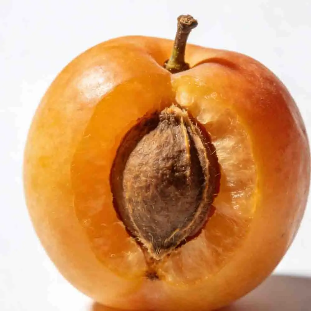 

Skydroid S2/S2mini Flight Control USB Multi Compatible Avionics Package Multi Rotor Fixed Wing Control Unmanned System RC Tools