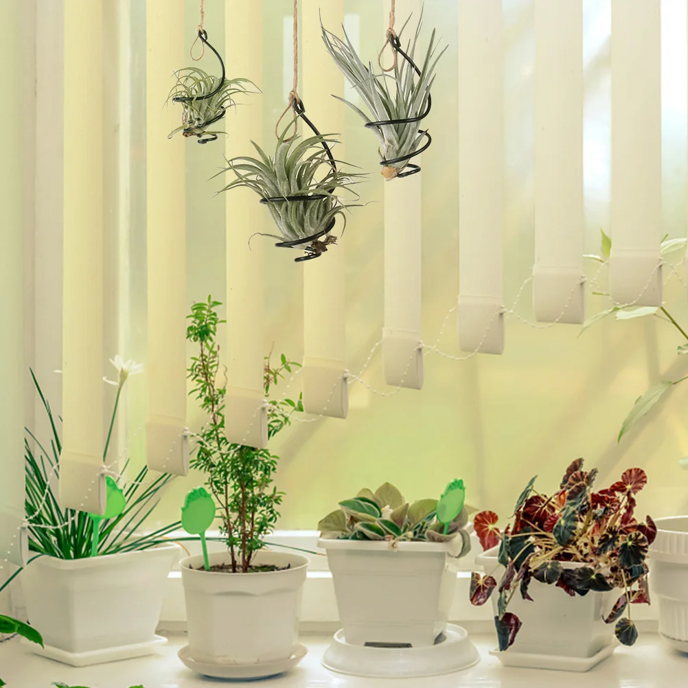 

18 Small Air Plant Hangers Wire Geometric Wall Planters Indoor Holder Shepherd Hook Hanging Flower Pots Black