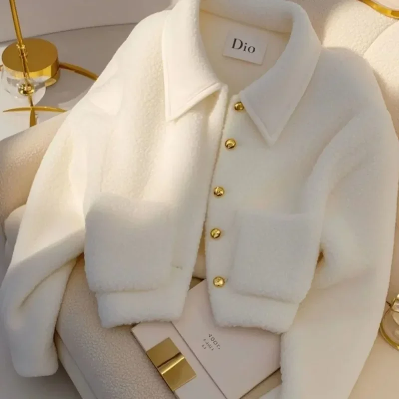 

Lambwool Coat Women's New Integrated Thickened Warm High-end Jacket Top