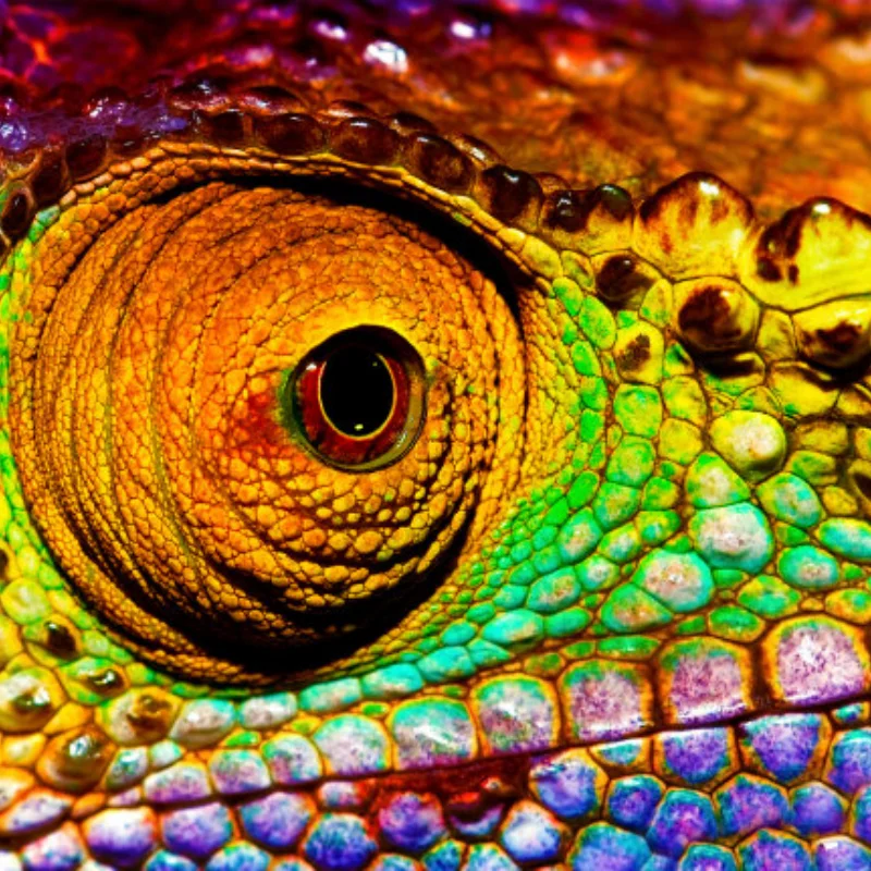 

4PCS RC Car CNC Aluminum Shock Damper Towers Mount for 1/10 RC Crawler SCX10 II 90046 90047