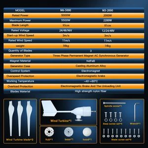 Der horizontale Generator der Windkraftanlage, freier Energie, magnetischer Dynamo, starker Leistung, Ausgang für das Haus, 220 V, 5000W, 2kW, 96 V, 48 V, 24 V 12 Hauptverkaufs -Eolisch -Generator -Kit - №3