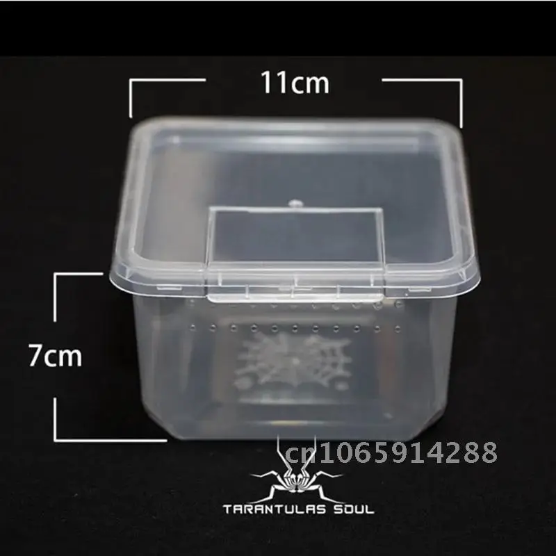 

33/10/7PC of reptile feeding box spider larva transparent plastic prevent breeding box feeding prison insect container to break