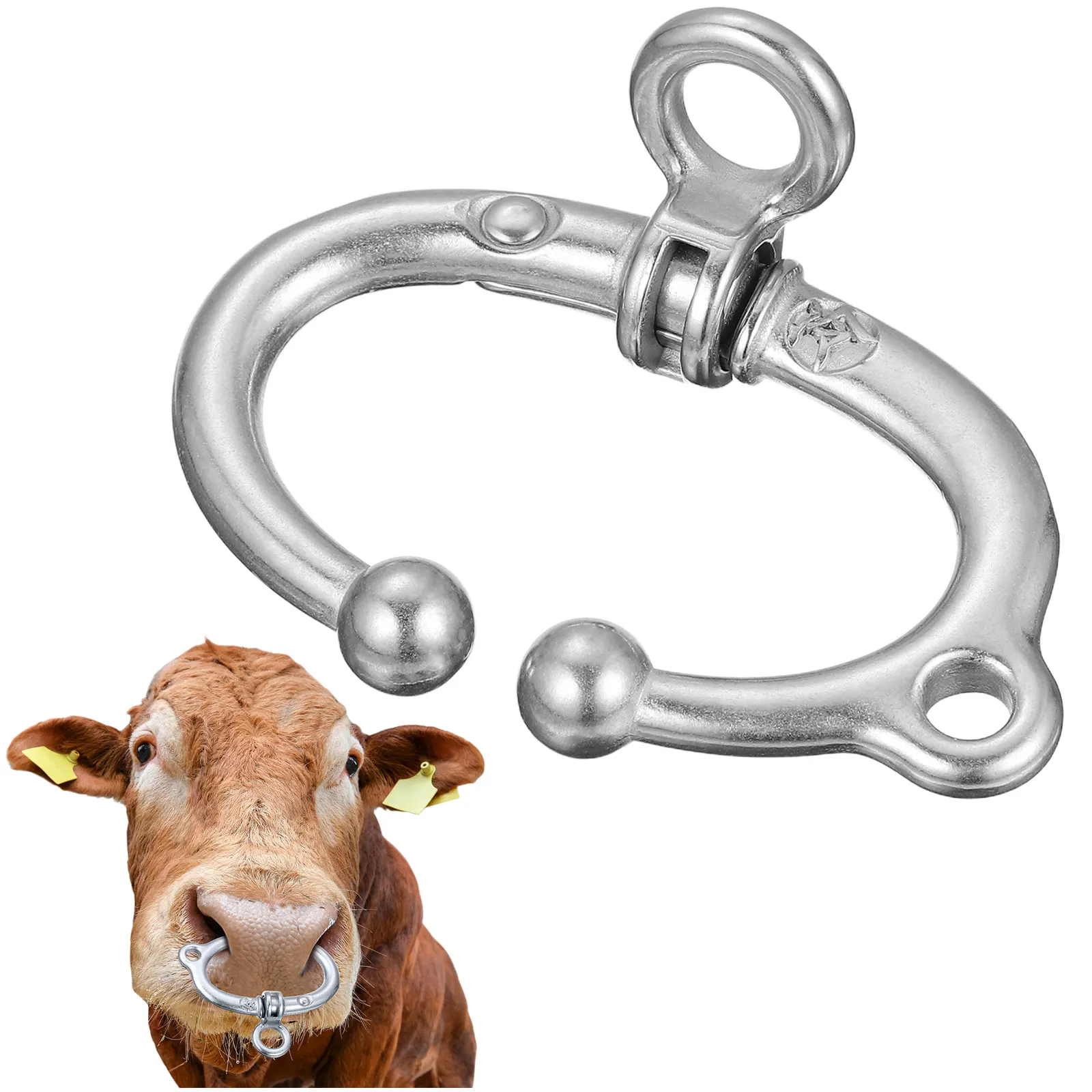 Stainless Steel Cow…