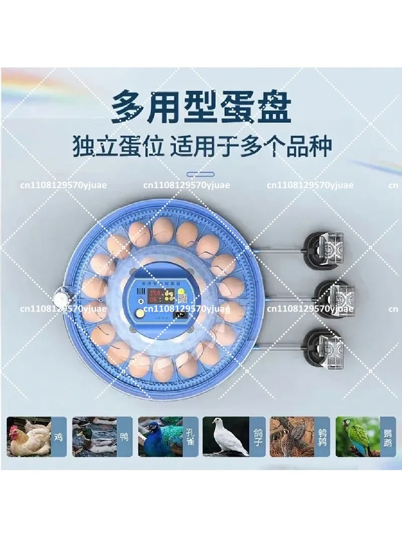 Household Fully Automatic Parrot Pigeon Bird Egg Incubator Small Flying Saucer Design