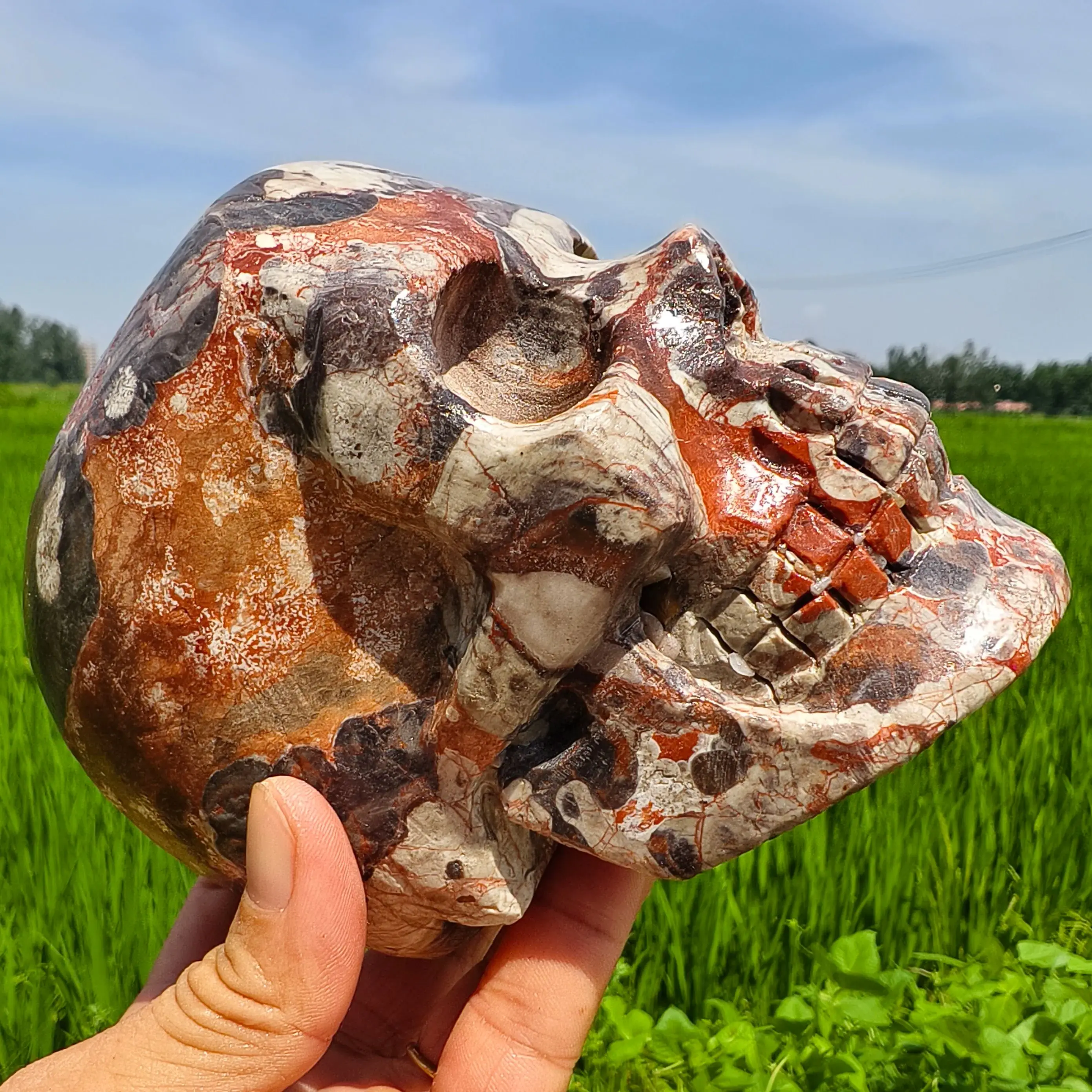 Natural Money Agate Skull, Quartz Crystal Money Agate Raw Ore Handcrafted Carved Skull Head, Mineral Healing