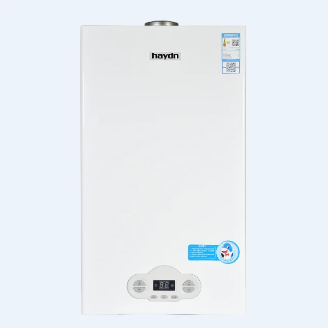 

Energy Saving Wall Mounted Gas Boiler With High Efficiency Low Noise Eco Friendly Heating System For Modern Living
