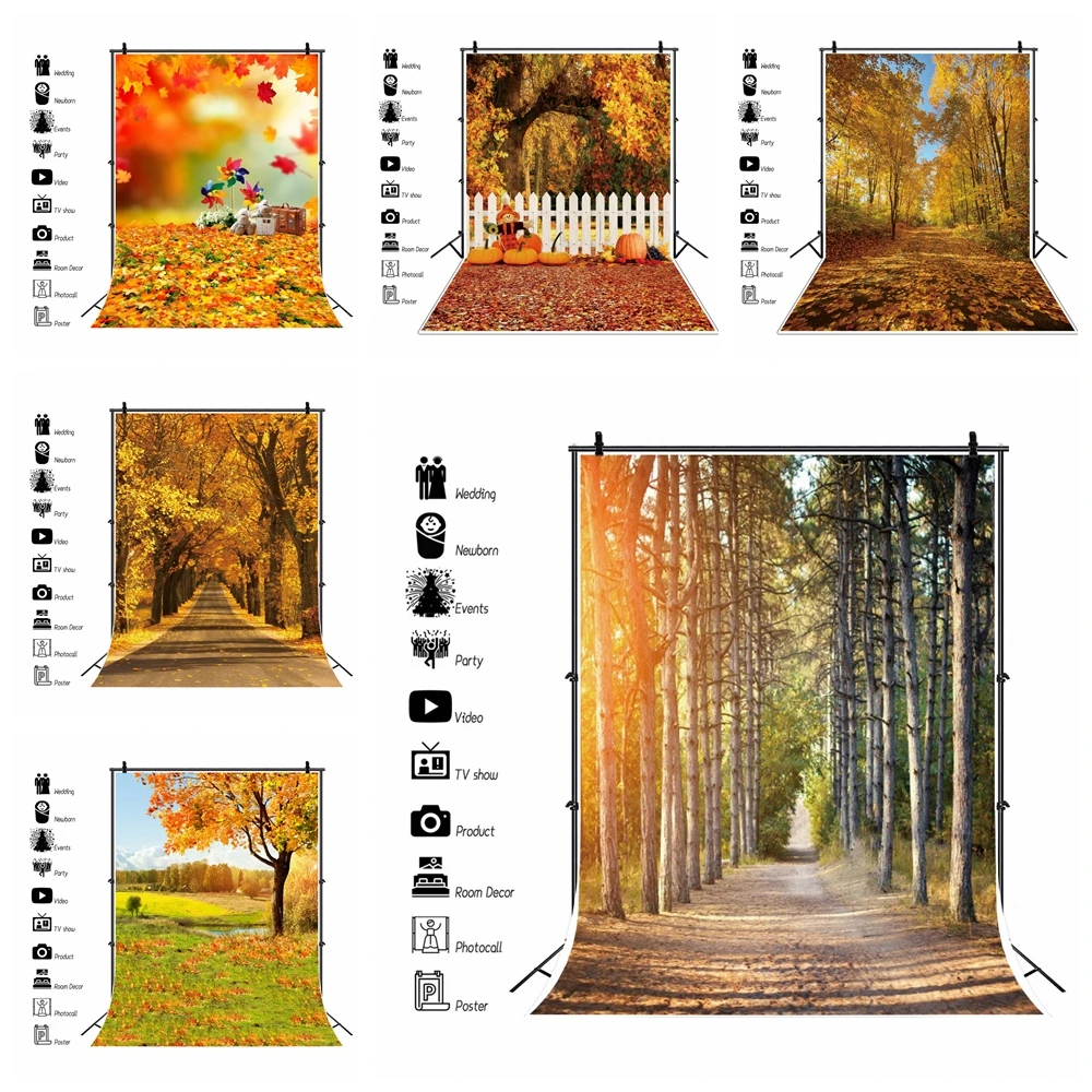 

Autumn Forest Old Tree Field Path Sunshine Natural Landscape Photography Background Fallen Leaves Photo Backdrop Photo Studio