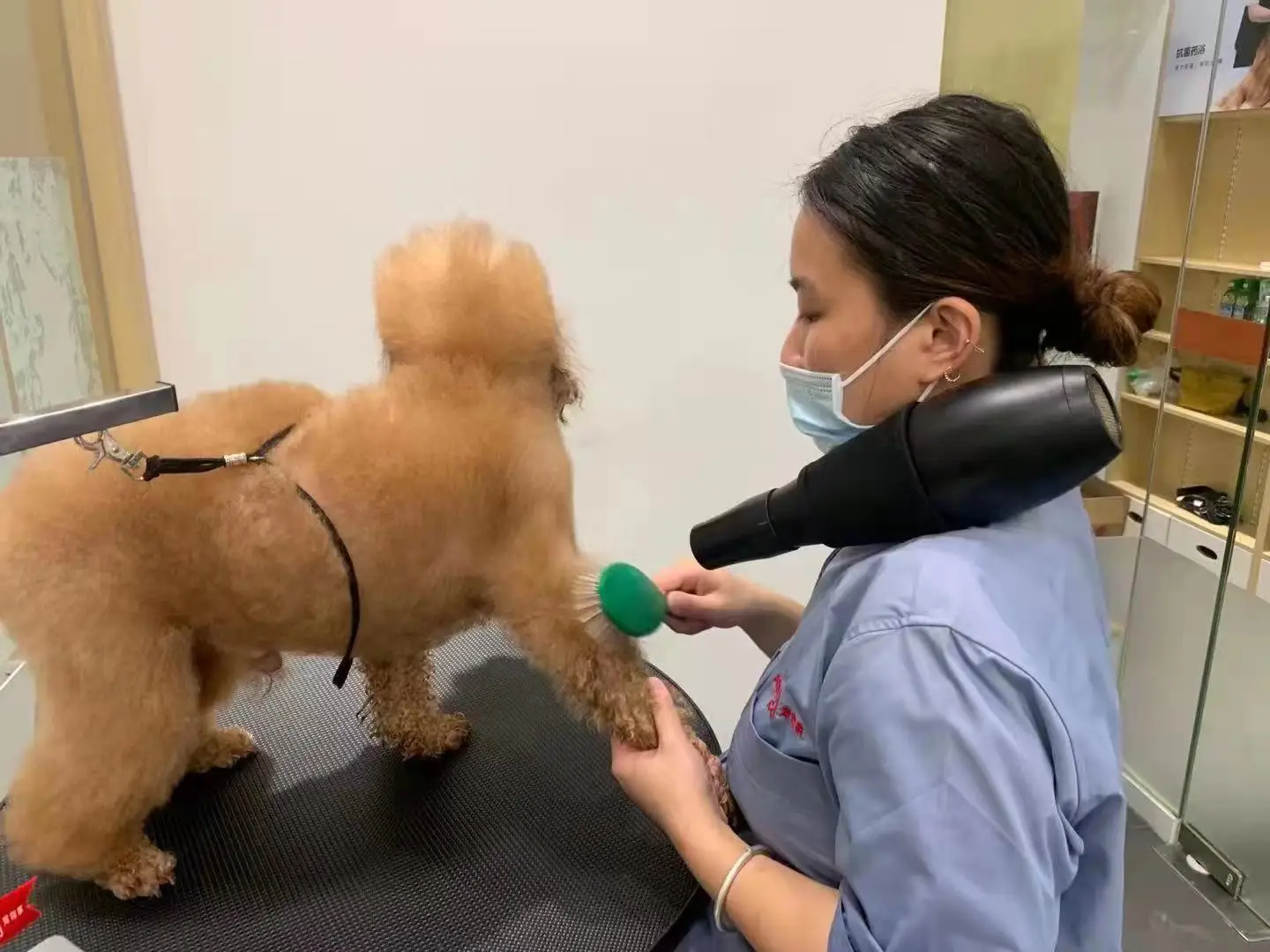 Pet Hair Dryer Hand-Free and Adjustable Speed Unique Design Dog Grooming Dryer with Stocked Feature