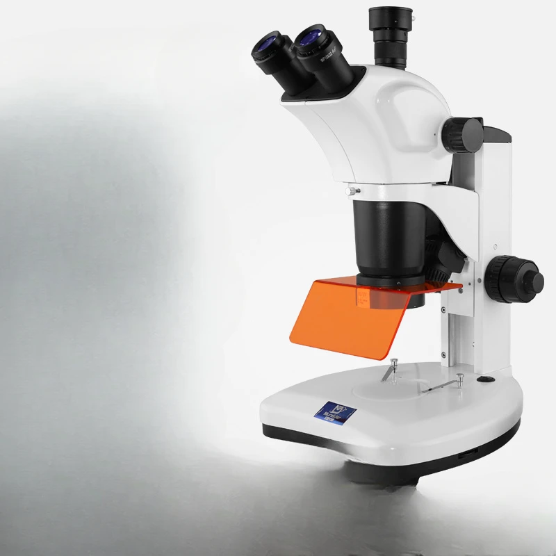 High definition fluorescence microscope zebrafish forensic MSD540