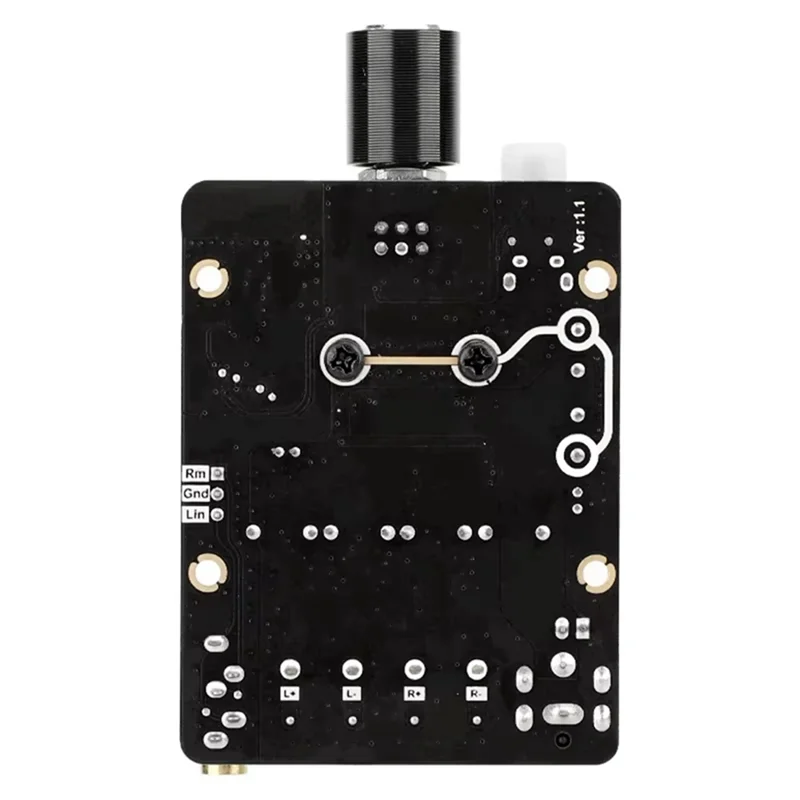 BTLIFE-Audioversterkermodule Digitale versterkermodule TPA3116 Audioaccessoires Stereo