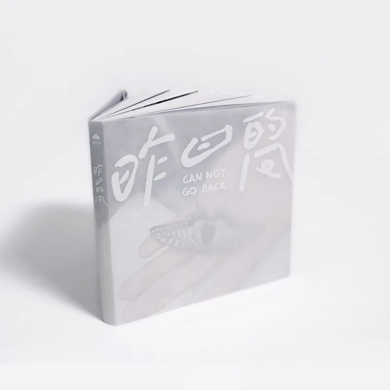 Yesterday's Wind Illustrator Ze Chuan Feng He Artbook Warm Nostalgic Reflecting Youthful Campus Memories Chinese Dreamcore