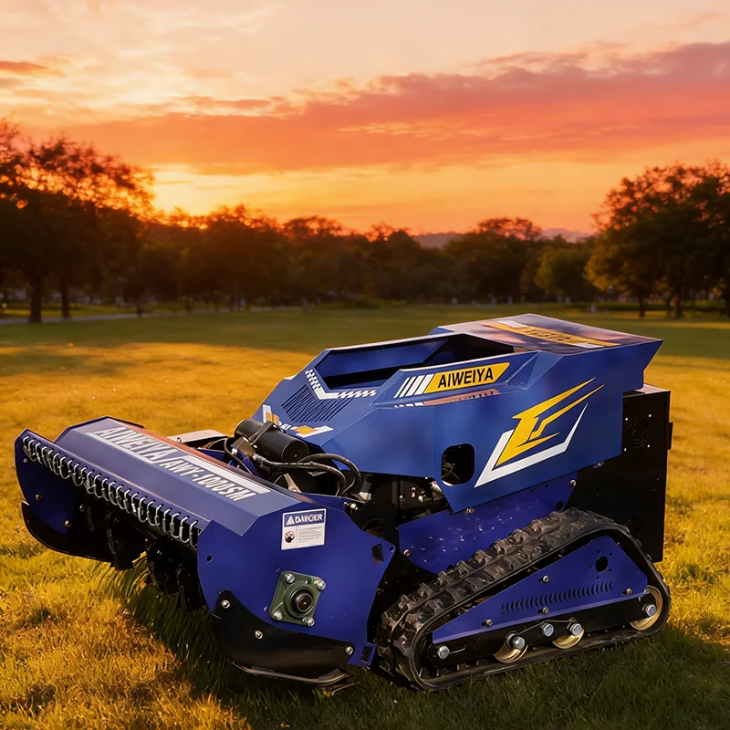 Customized Remote-C…