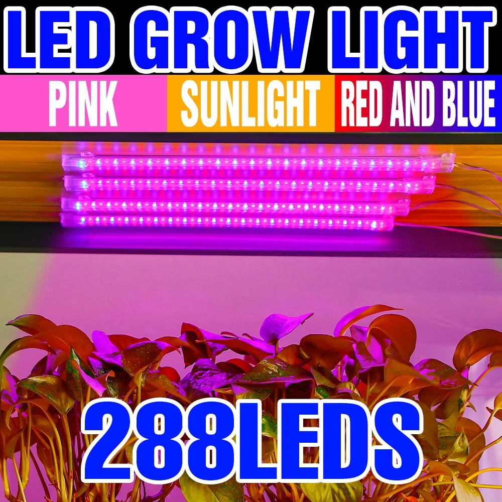 

USB светодиодный светильник для выращивания растений, полный спектр, лампа для растений, комнатные фрукты, горшечные овощи, коробка для выращивания с 24-часовым таймером, заполняющее освещение