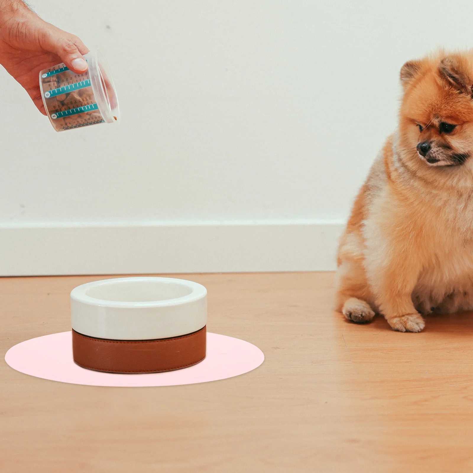 

1Pcs Durable Silicone Pet Placemat Waterproof Dog Feeding Pad Leakproof Heat Insulated Pink Silicone Placemat Pet Food Mat