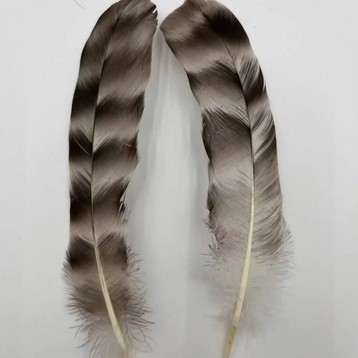 

Natural Pheasant Feathers Jewelry Making Decor Stripe Chicken Feather Dream Catcher Handicraft Accessories Diy Craft Supplies