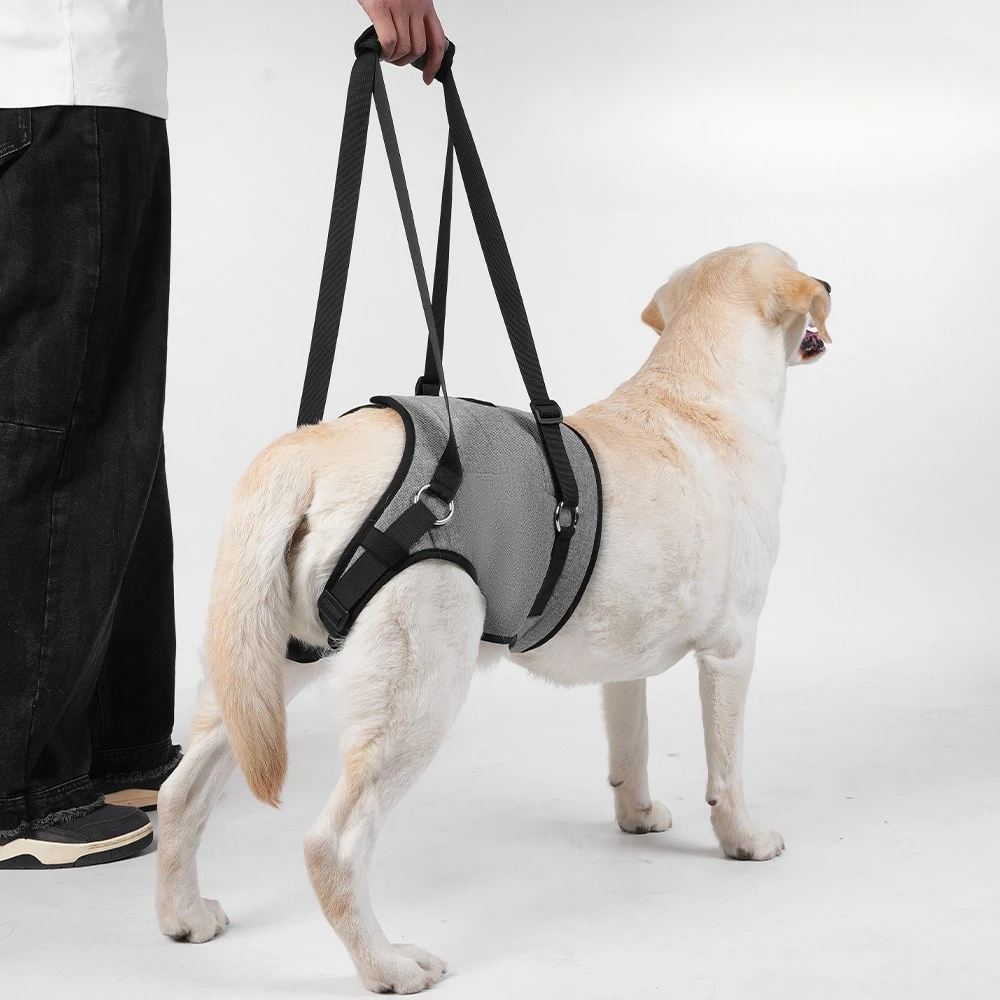 Pet Hind Legs Assist with Dog Postoperative Rehabilitation Travel Assist with Elderly Dog Traction Rope