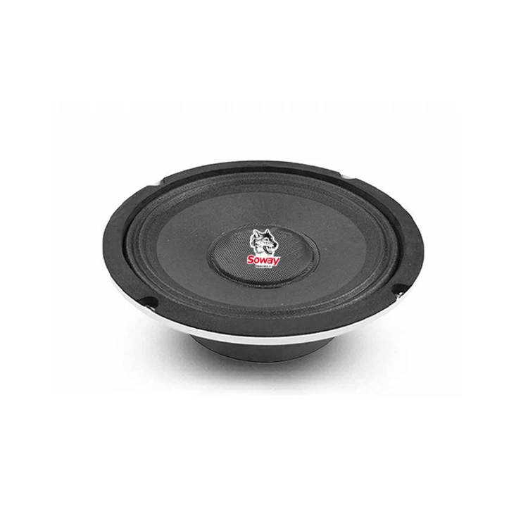 

Precision Technology Production 10 Inch Subwoofer Car Audio Powered Subwoofer Subwoofers For Car