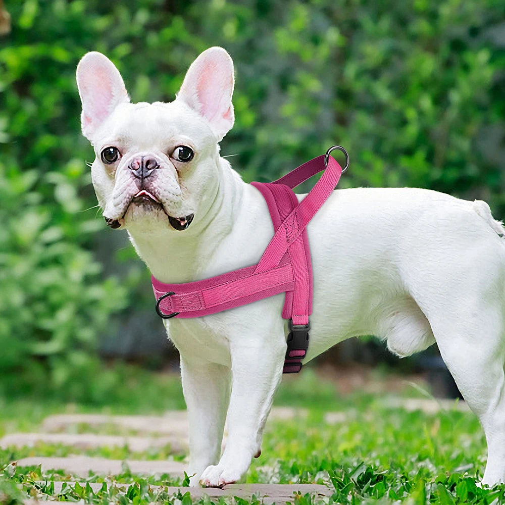 Weiches, nicht ziehendes Geschirr für kleine und mittelgroße Hunde, Nylon, Pitbull-Hunde-Welpengeschirr, gepolsterte Haustierweste, verstellbar für kleine Hunde, Chihuahua, Mops – Detail 16