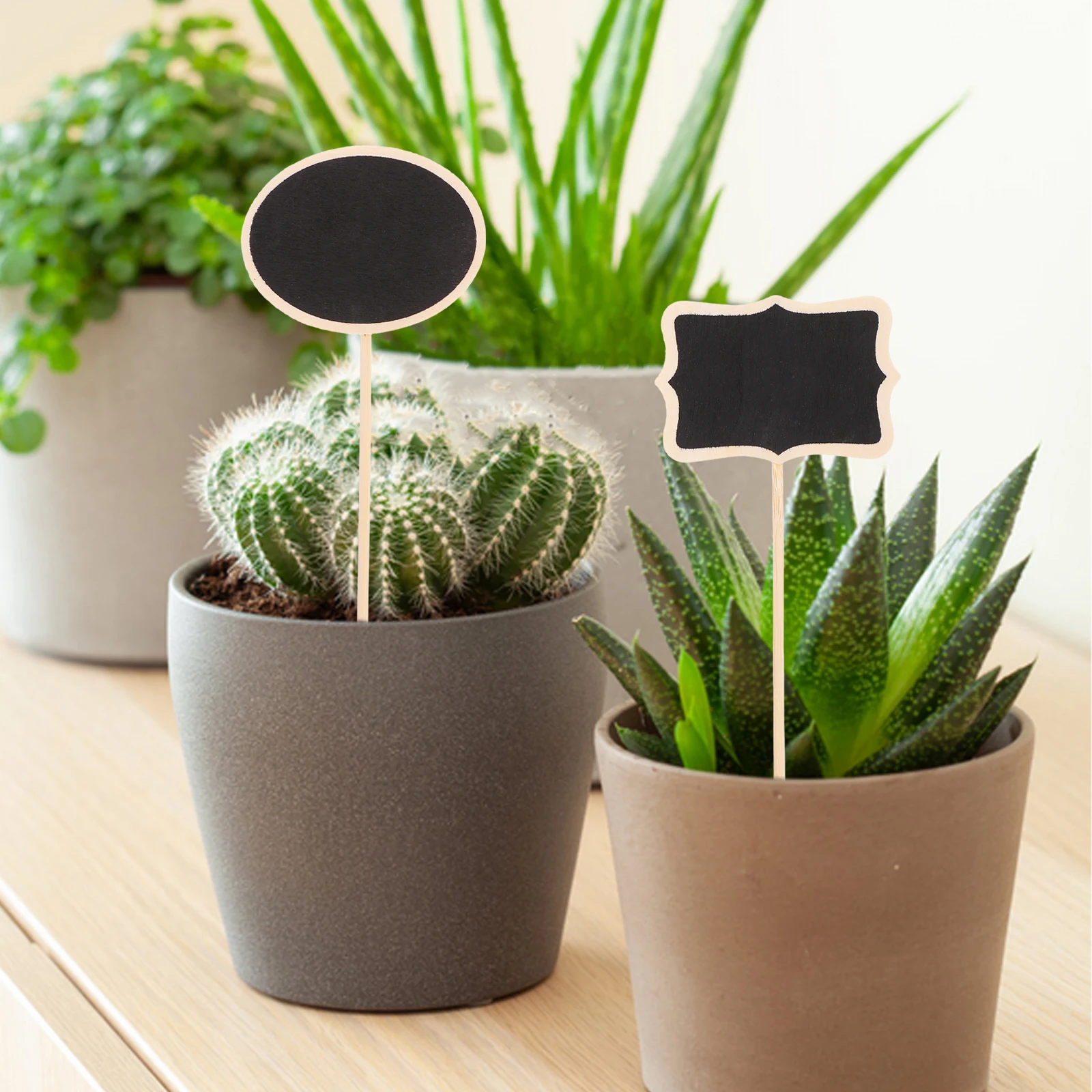 

20pcs Wooden Crafts Sturdy Plant Tags for Identification Small Size Easy to Write Flower Markers Garden Succulent Labels