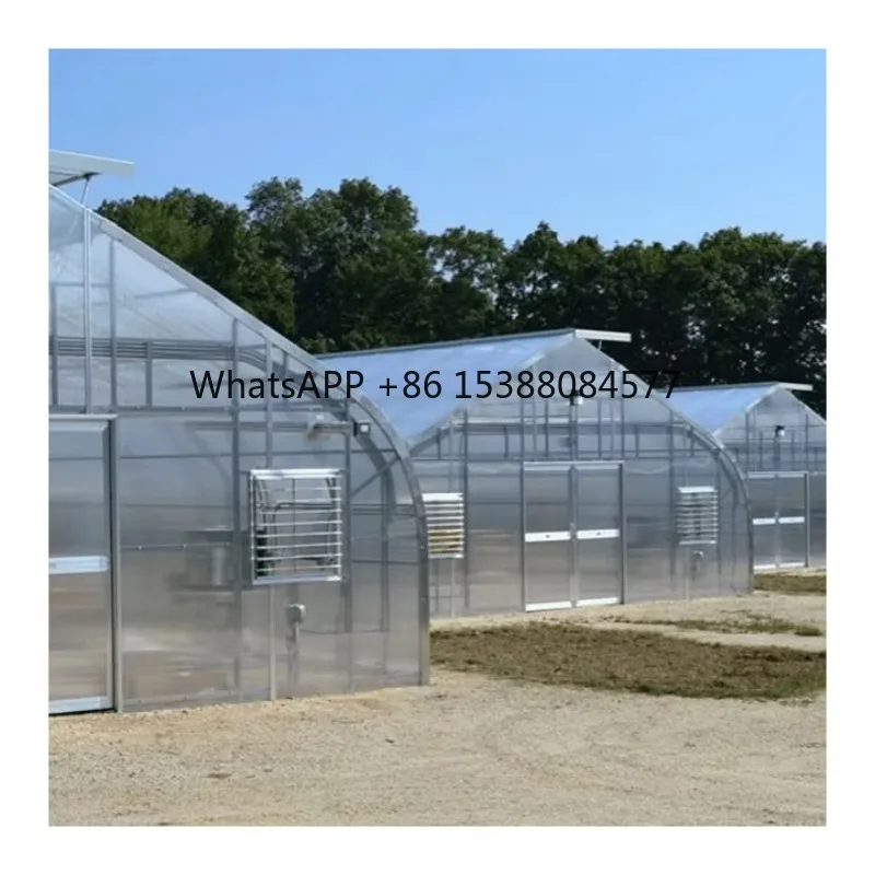 

Polycarbonate Gothic Greenhouse for Enhanced Light Diffusion