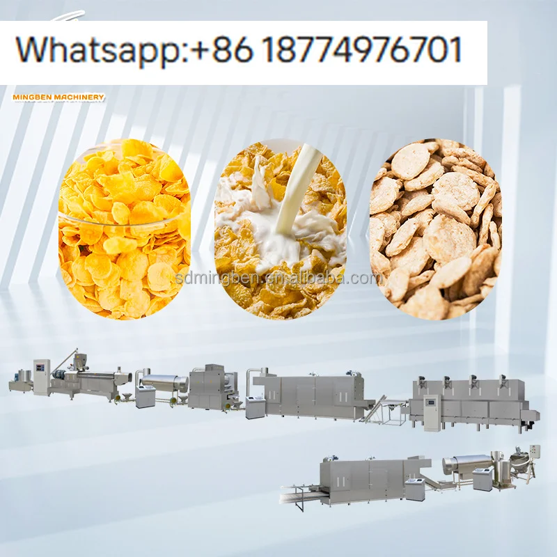 Commercial Small Oatmeal Making Machine/ Cereal Flakes Snack Food Making Machine