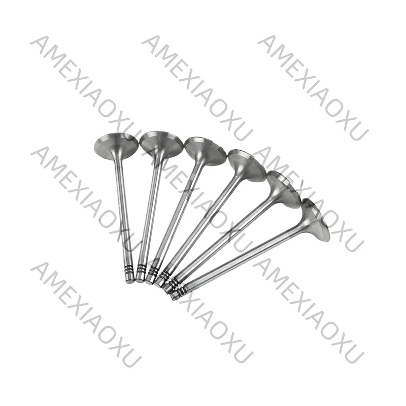 6Pcs AMEXIAOXU 022109601E Suitable for Volkswagen Phaeton Audi A8 6.0L engine intake valve, short