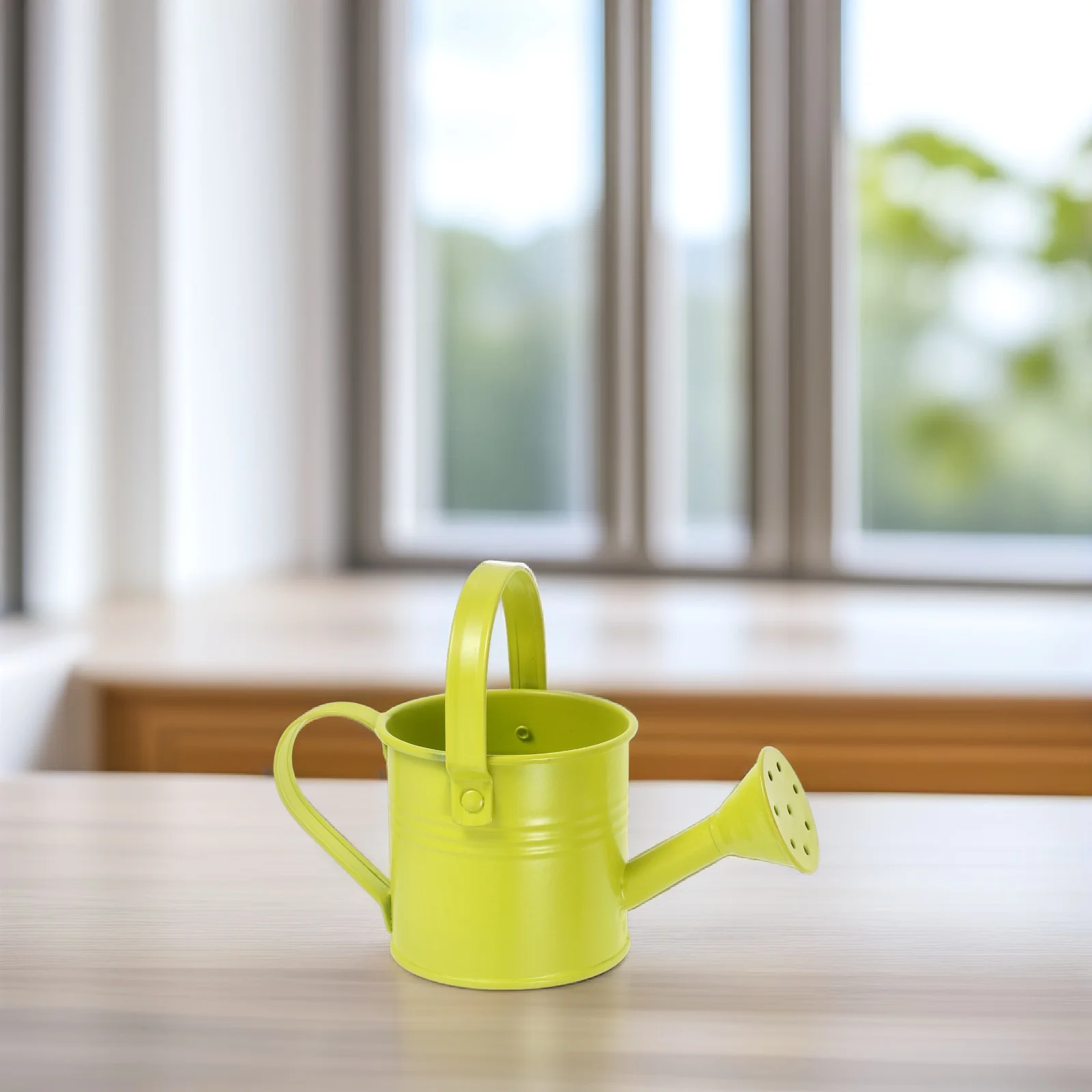 

Watering Can Long Spout Indoor Cans for House Plants Houseplant Outdoor Galvanized Iron Small