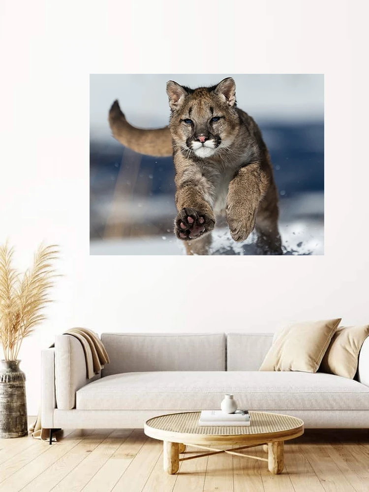 Pegatina de pared decorativa T344 # Mural - usage example