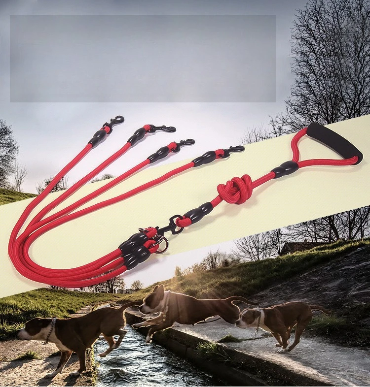 

Pet dual head dog walking rope with one-drag-two traction function, featuring anti-winding performance and detachable design