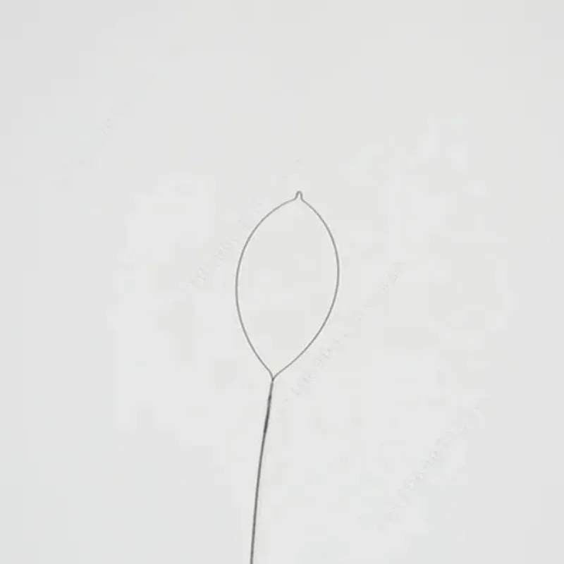 High Quality 2025 New Disposable Oval Polypectomy Snare CE Certified for Medical Use